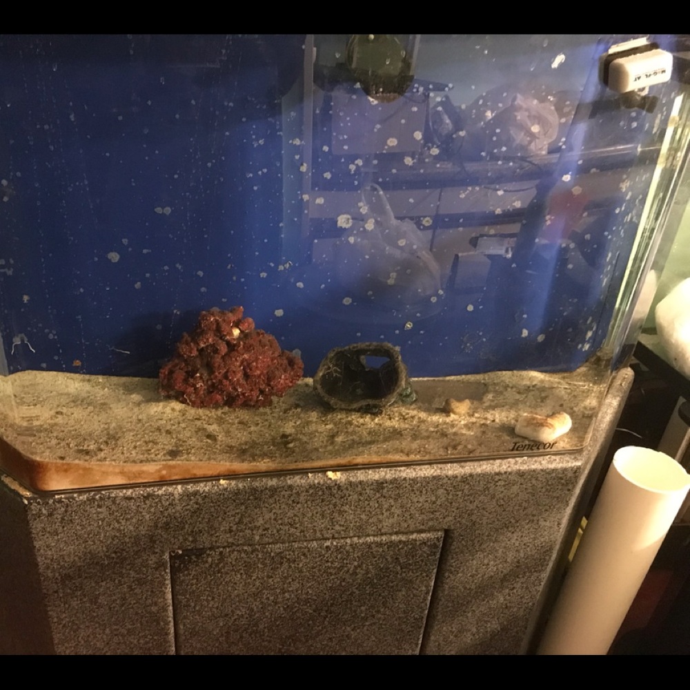 90 gallon Tenecor acrylic fish tank